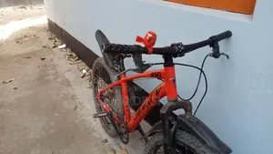Veloce Junior 1 Speed 20 Inch Red Bicycle