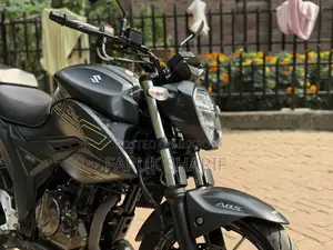 সুজুকি জিক্সার ২৫০ অন টেস্ট ২০২৫