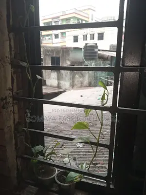 মানিপ্লান্ট গাছ বিক্রয় এই কাজ ঘরের মধ্যেই হয়।