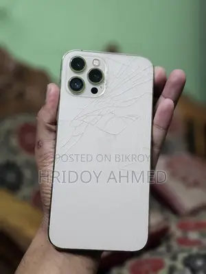অ্যাপল আইফোন ১২ প্রো ম্যাক্স (ব্যবহৃত)