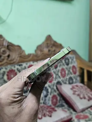 অ্যাপল আইফোন ১২ প্রো ম্যাক্স (ব্যবহৃত)