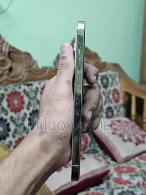 অ্যাপল আইফোন ১২ প্রো ম্যাক্স (ব্যবহৃত)