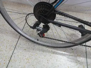 Coyotte Bicycle For Sale