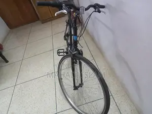 Coyotte Bicycle For Sale