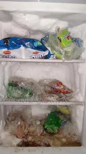 Walton Fridge for Sale