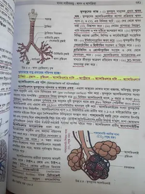 2025 Edition Class 11-12 Textbooks