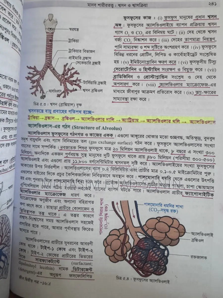 2025 Edition Class 11-12 Textbooks