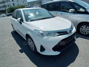Toyota Axio EX PACKAGE 4.5AP 2020