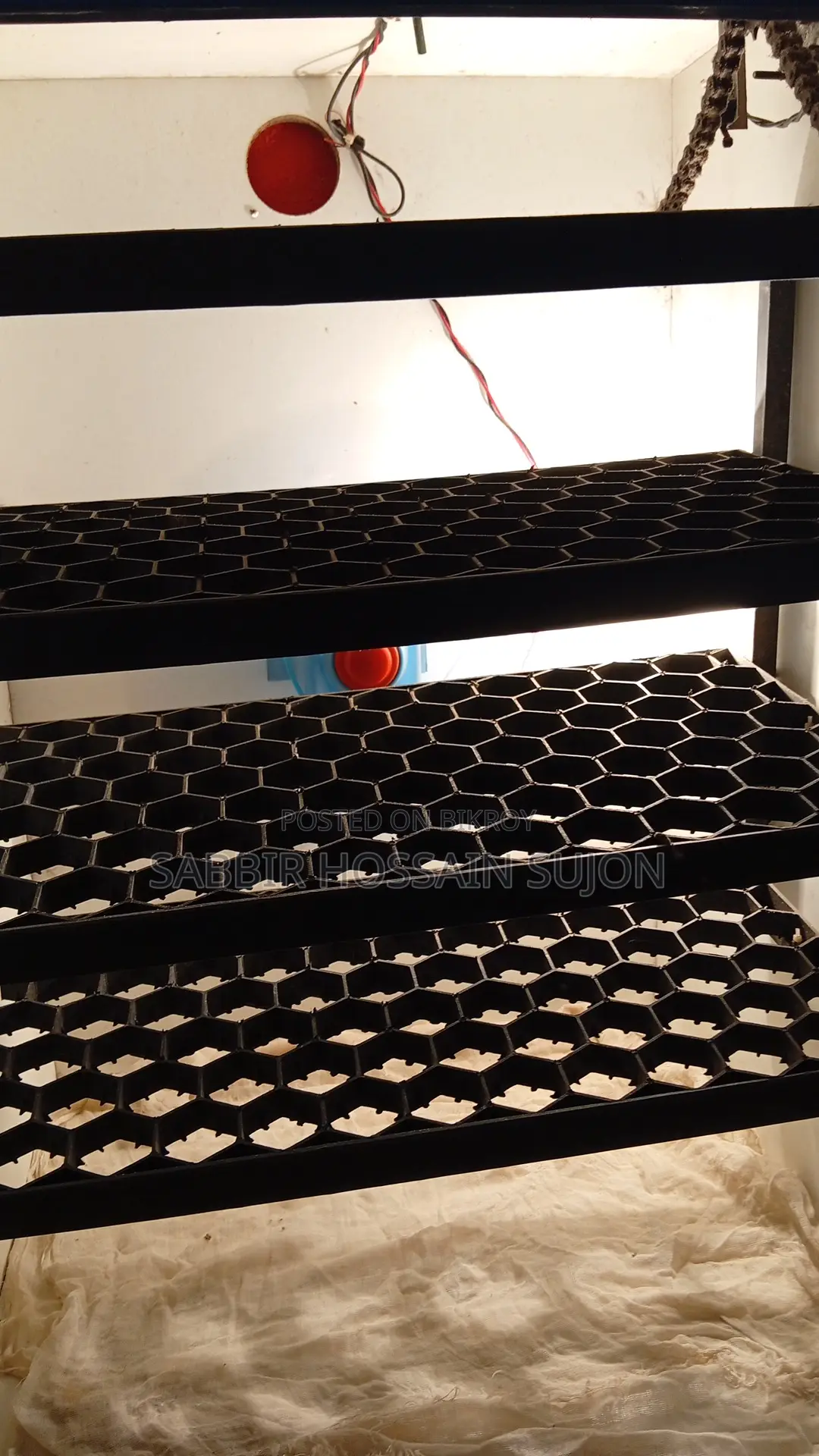 Incubator