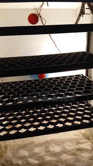 Incubator