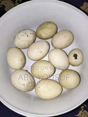 চিনা হাসের ডিম