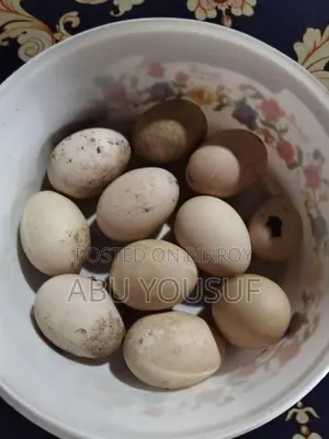 চিনা হাসের ডিম