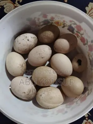 চিনা হাসের ডিম