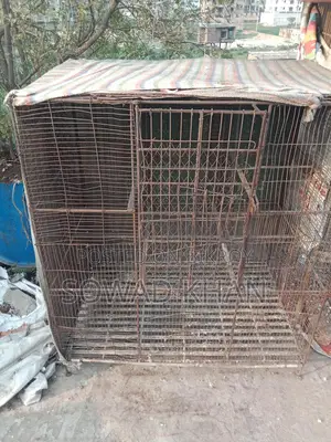 লোহার দাঁপড়ি