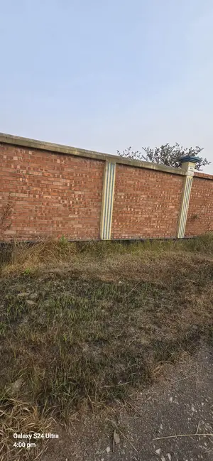 5 Katha East-Facing Plot for Sale in Sector 7