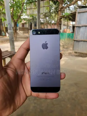 Apple iPhone 5S (Used)