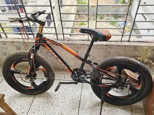 Hero Fat Bike