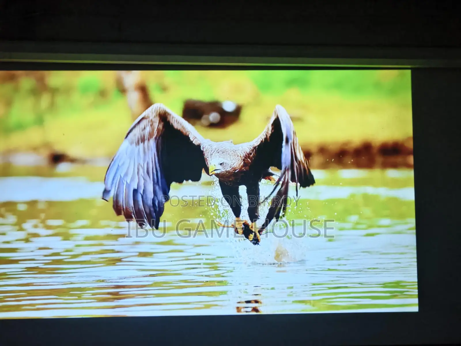 TV with Cheerlux 16 Projector Fresh