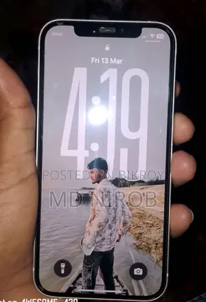 Apple iPhone 12 (Used)