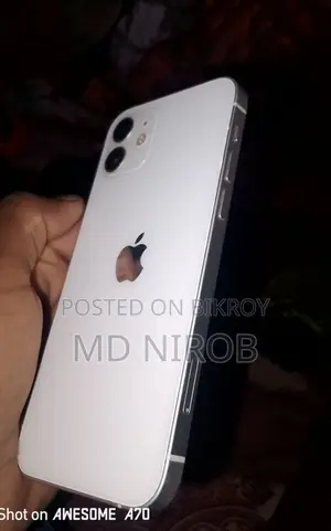Apple iPhone 12 (Used)
