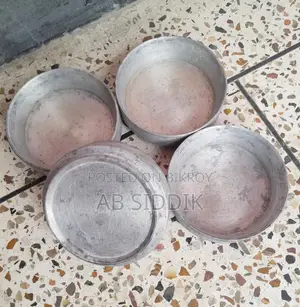 Bird Feeding Bowl পাখির খাবারের বাটি
