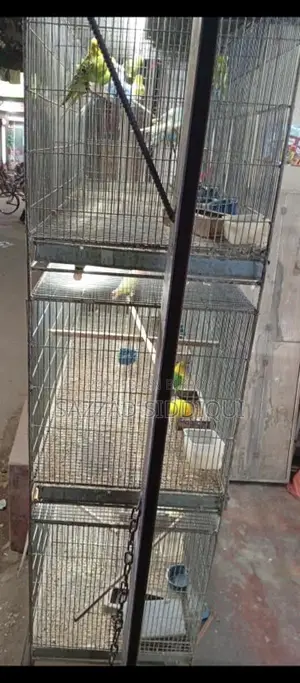 পাখির খাঁচা