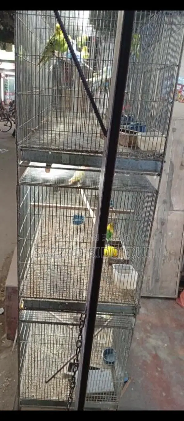 পাখির খাঁচা