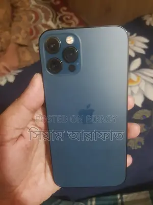 Apple iPhone 12 Pro 256GB (Used)