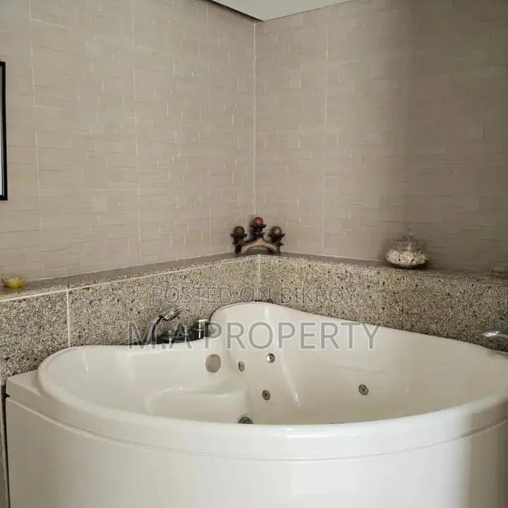 Luxury 5-Bed 6500sqft Fully Furnish Apartment Rent in Gulshan