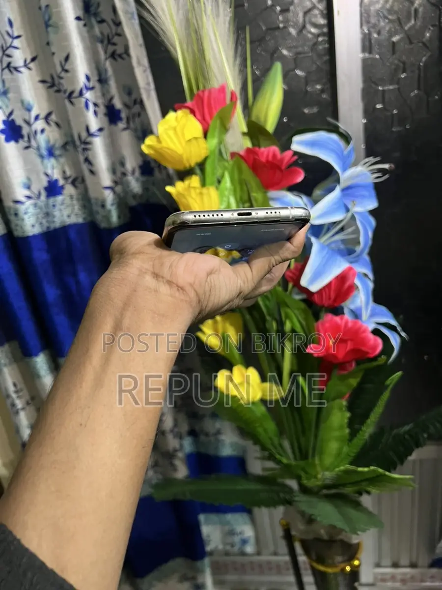 Apple iPhone 11 Pro Max ` (Used)