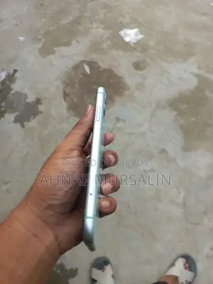Apple iPhone 11 (Used)