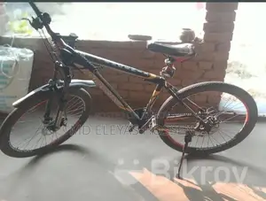 The bicycle is in brand new condition, inbox me if you want to buy it