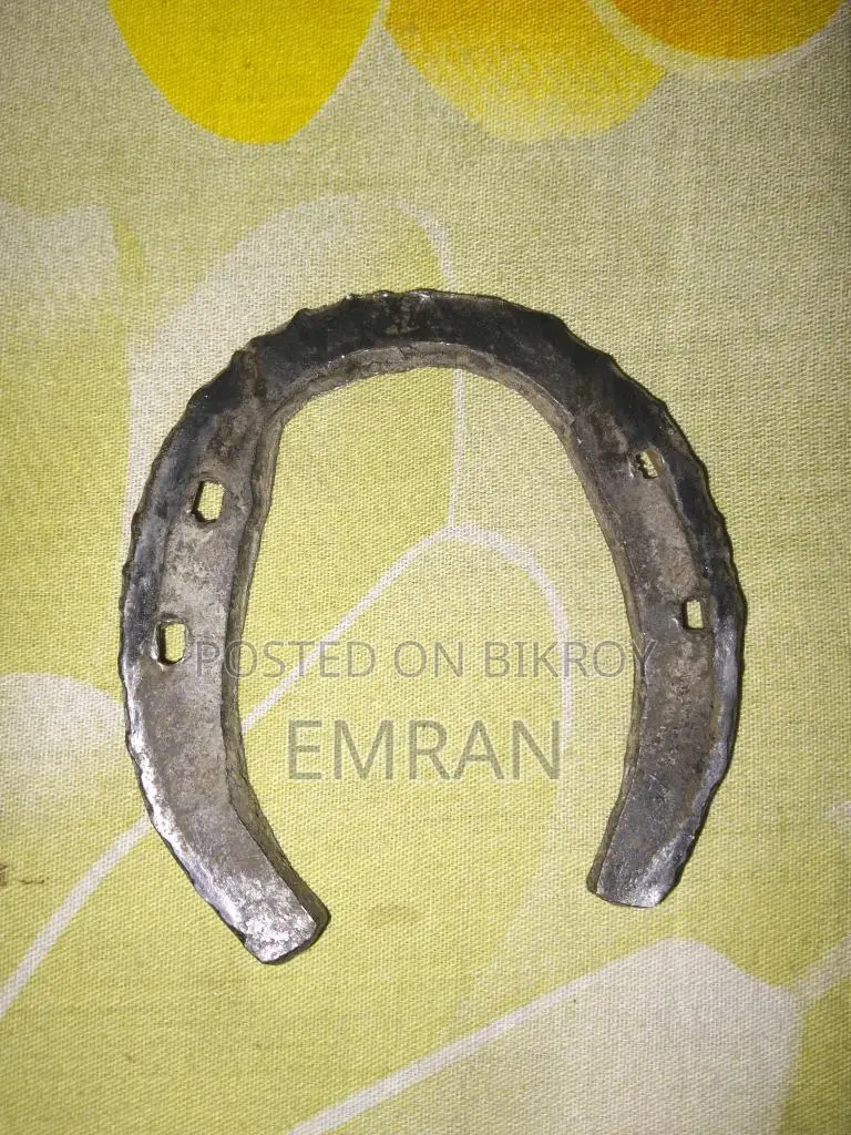 ঘোরার পায়ের লোহা