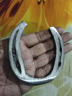 ঘোরার পায়ের লোহা