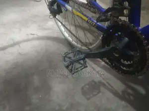 Bicycle for Sale