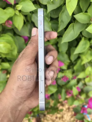 Apple iPhone 12 128 (Used)