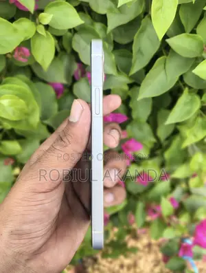 Apple iPhone 12 128 (Used)