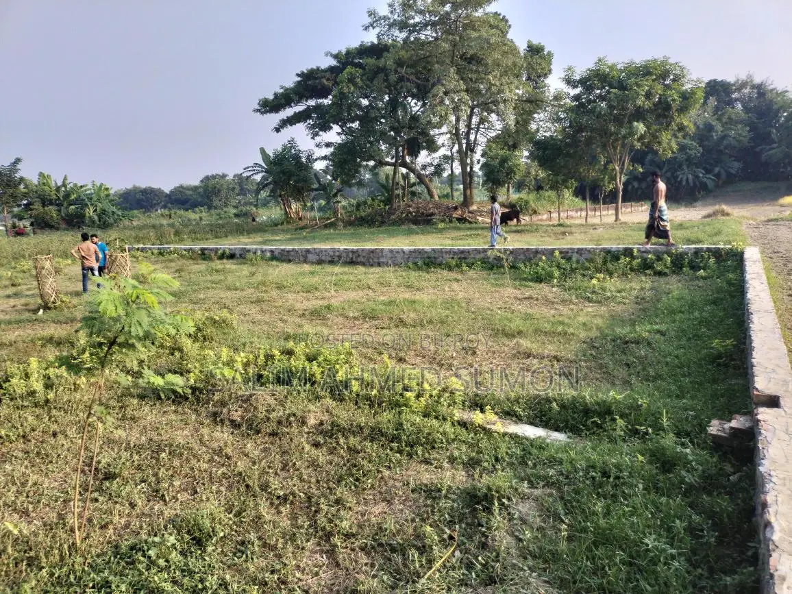 জমিনের কাগজ ১০০% ওকে উচু জমি মাটি ফালানো লাগবে না এখনি বাড়ি করার উপজুগি