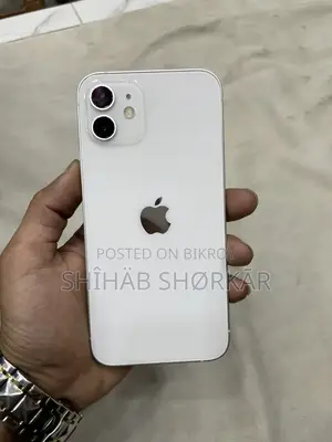 Apple iPhone 12 256 (Used)
