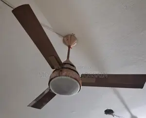 Ceiling Fan