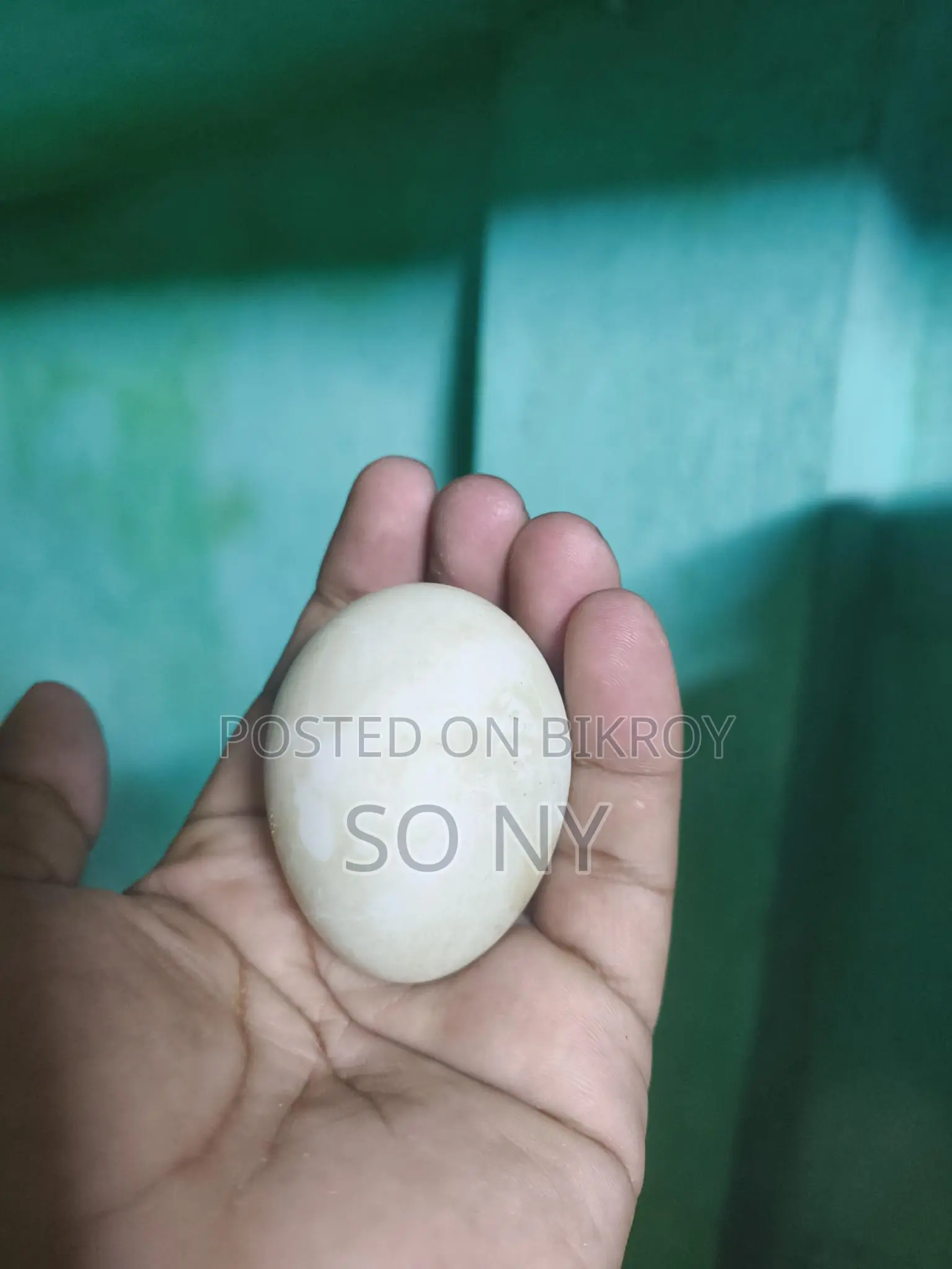 Chinese Duck Eggs