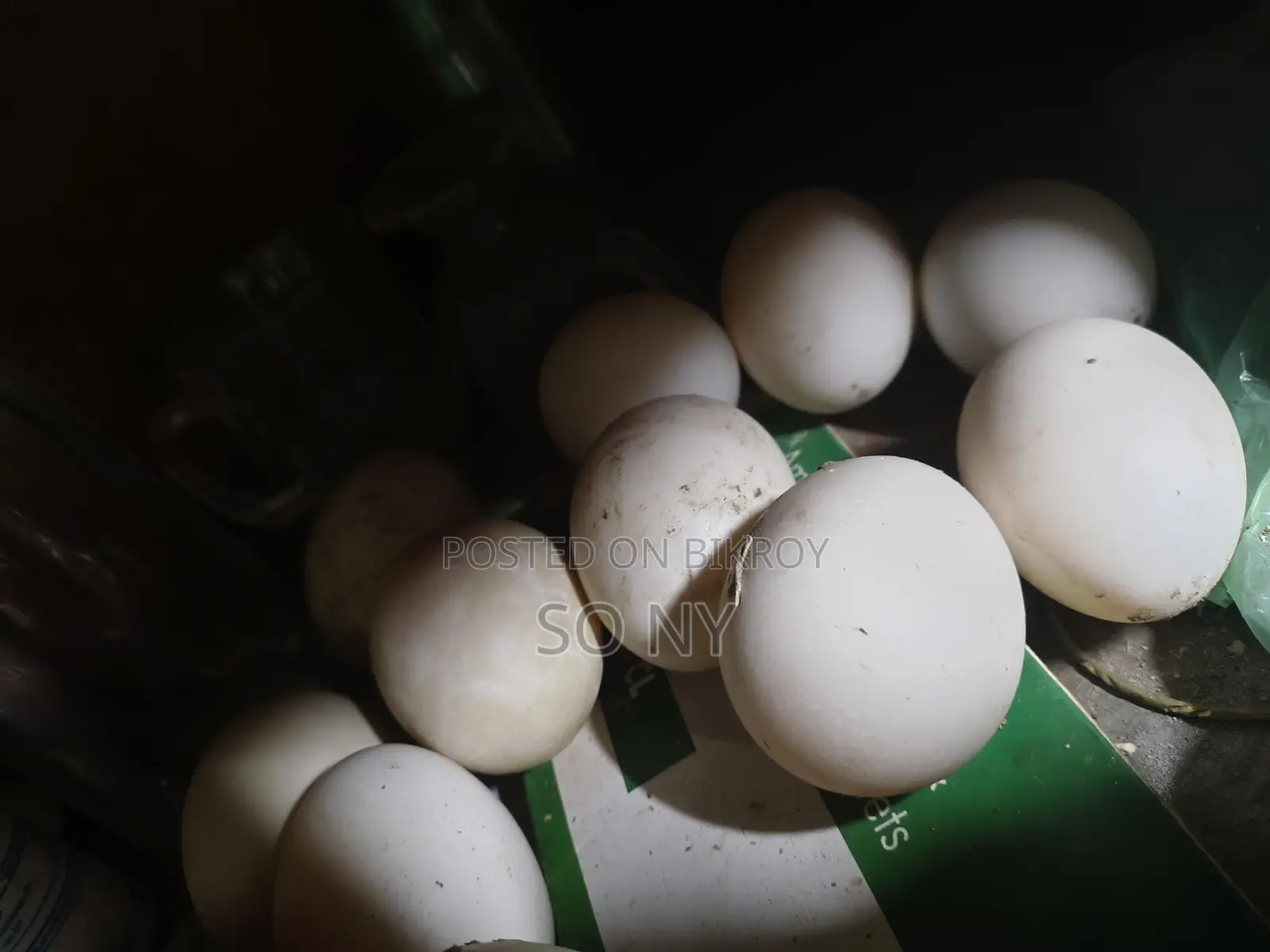 Chinese Duck Eggs