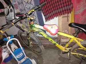 Bicycle For Sale