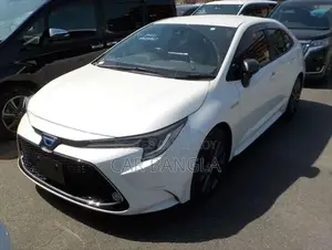 Toyota Corolla WXB READY SHOWROOM 2020