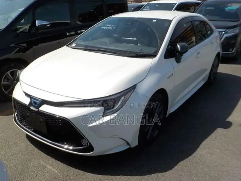 Toyota Corolla WXB READY SHOWROOM 2020