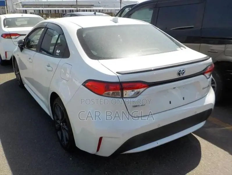 Toyota Corolla WXB READY SHOWROOM 2020
