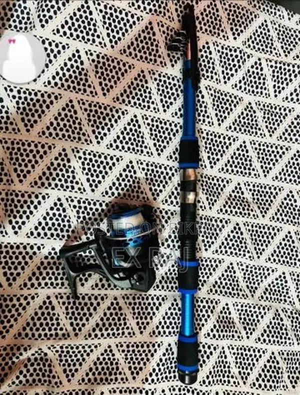 Rod and Reel