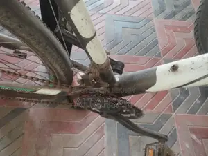 Foxter Cycle for Sale
