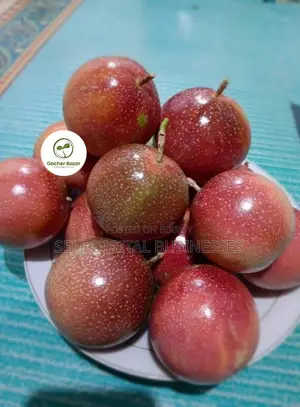 প্যাশনফ্রুট / আনারকলি চারা