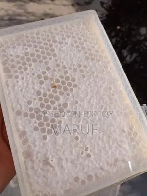 Honey with Comb